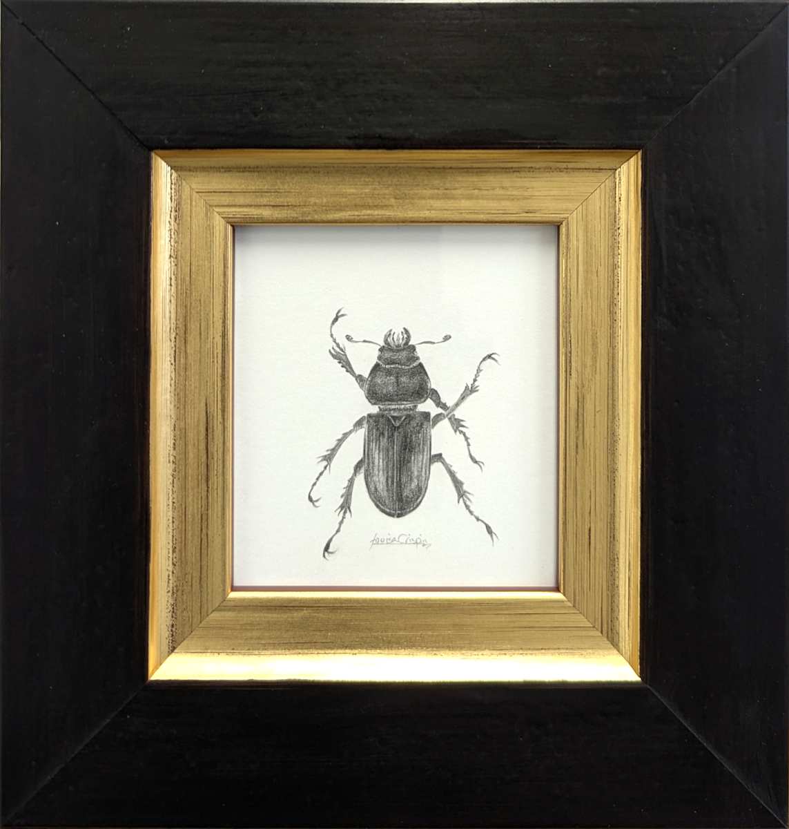 Stag Beetle SB012 by Louisa Crispin, Image 1.
