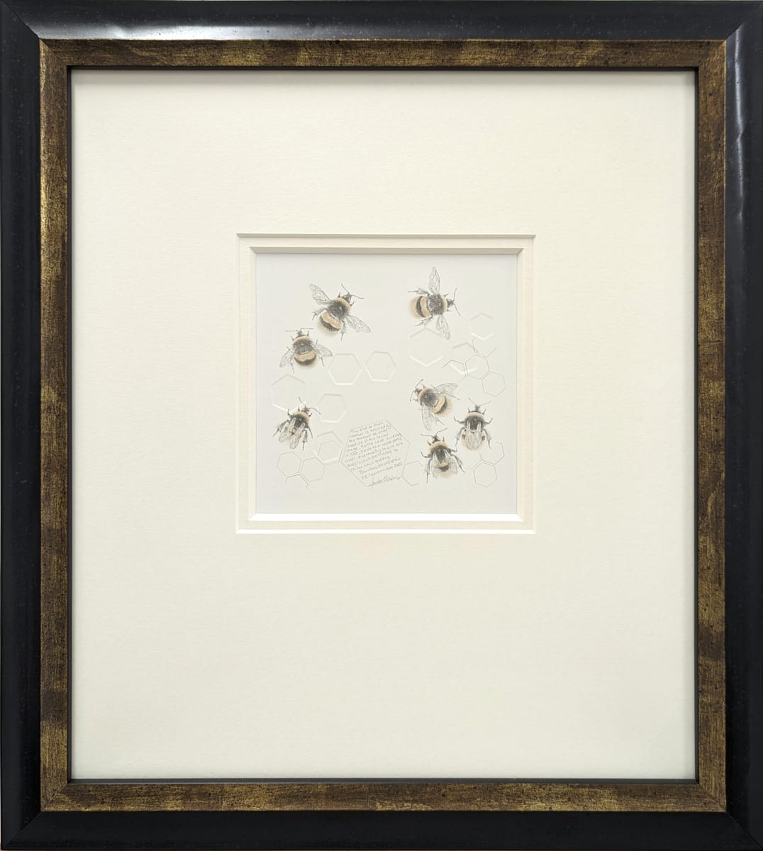 Study of a  BumbleBee 035 by Louisa Crispin, Image 2.