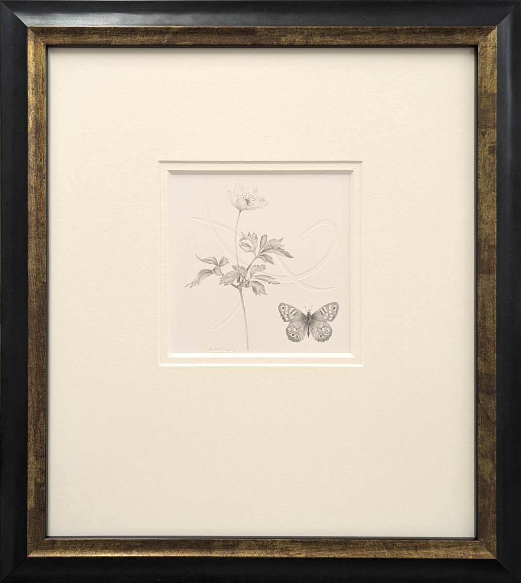 Study of a Lawnflower 006 ~ Wood Anemone and Speckled Wood Butterfly by Louisa Crispin 