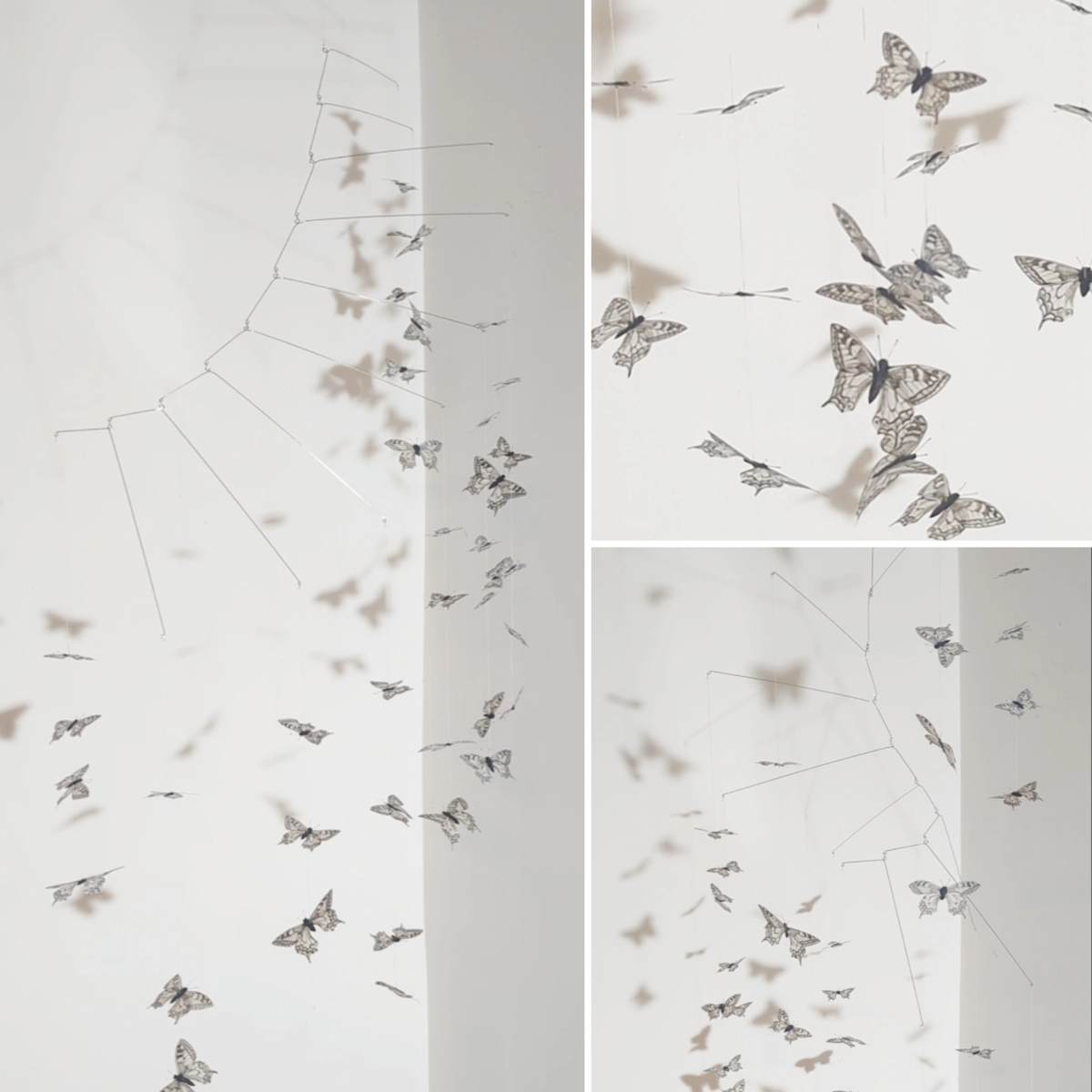 Swallowtail Flight by Louisa Crispin 