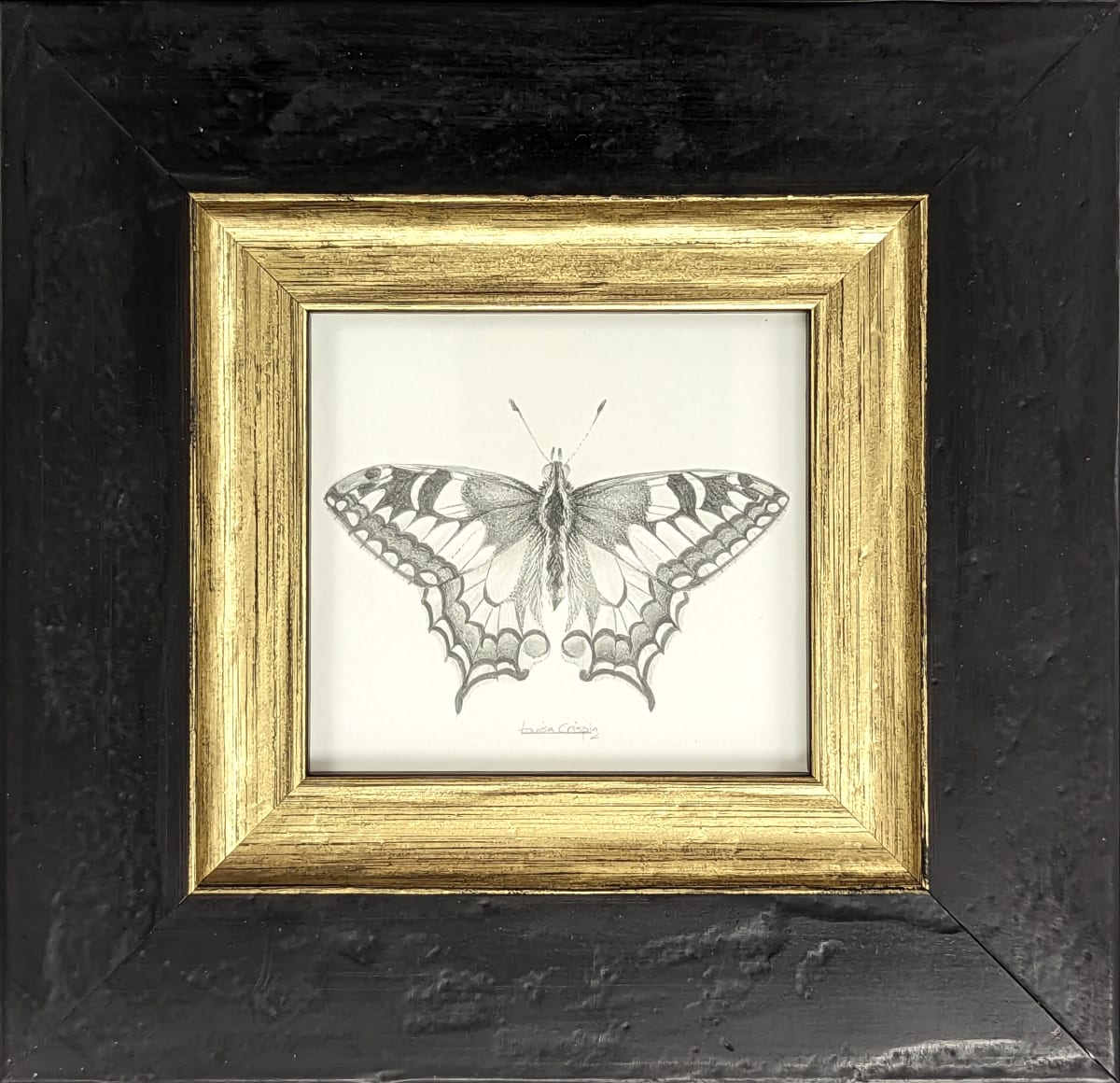 Swallowtail SWT001 by Louisa Crispin, Image 3.