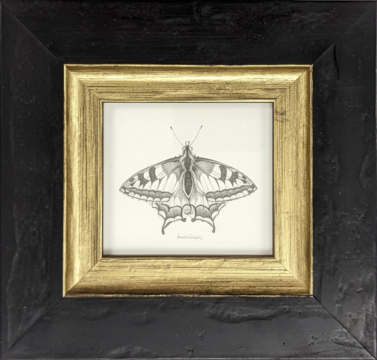 Swallowtail SWT002 by Louisa Crispin 