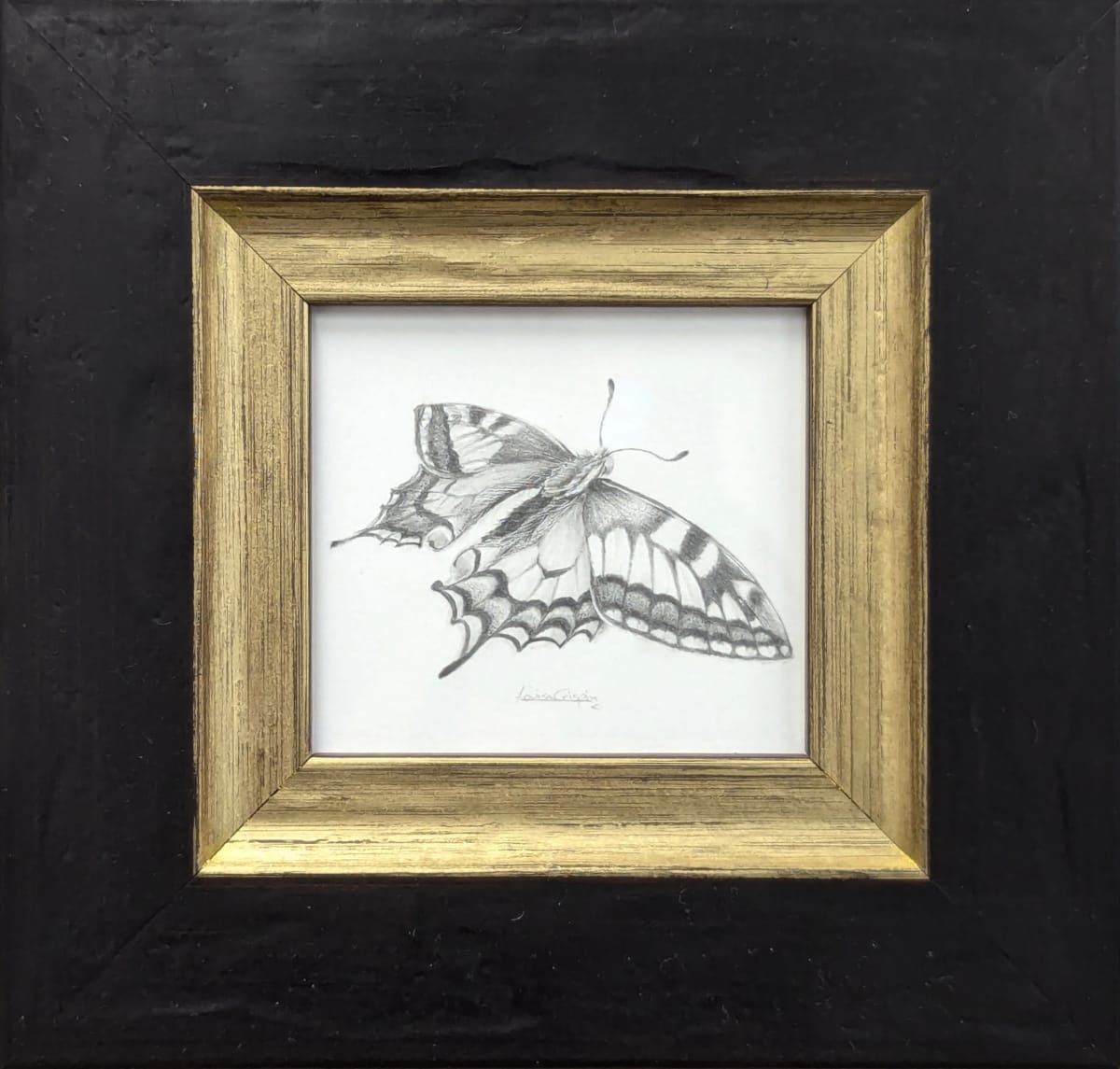 Swallowtail SWT003 by Louisa Crispin 