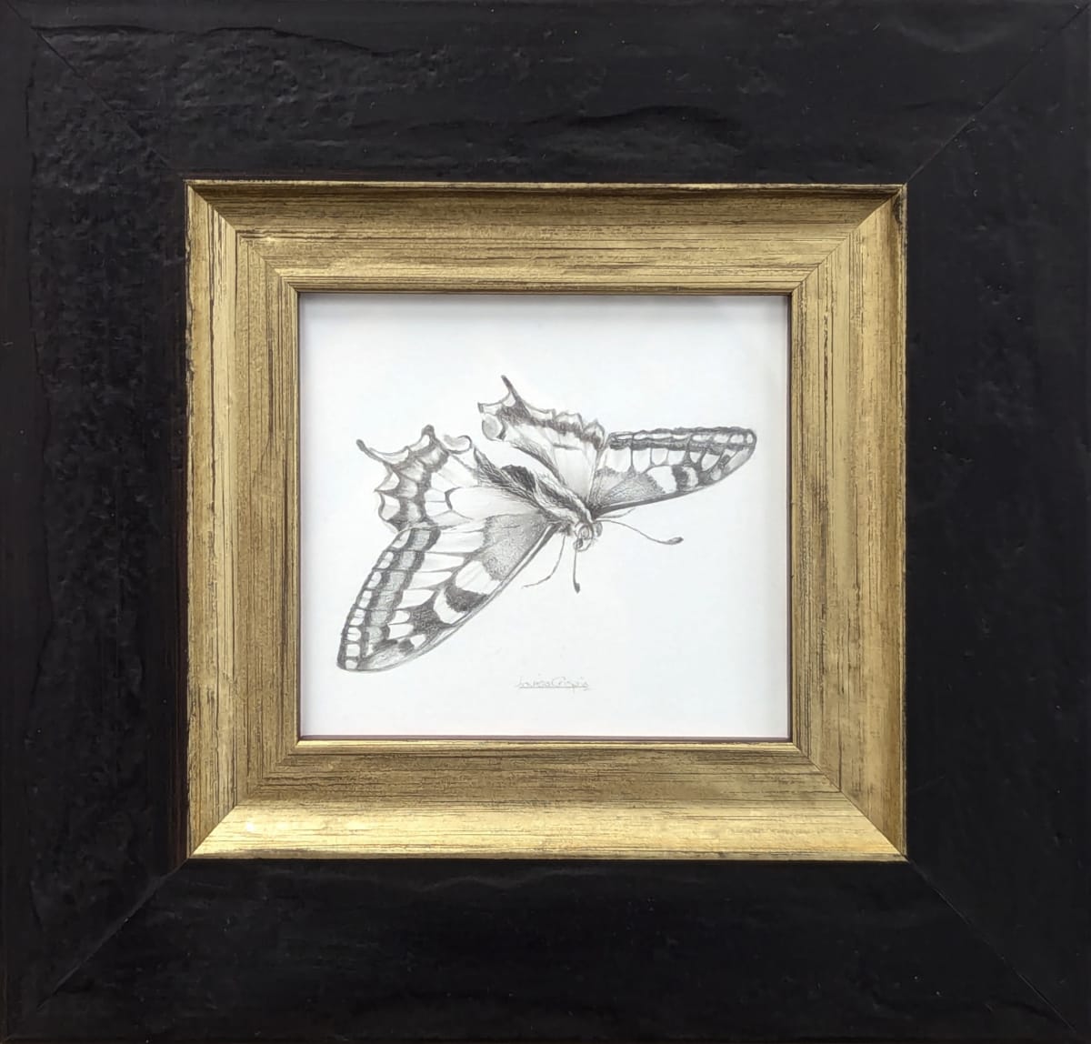 Swallowtail SWT004 by Louisa Crispin 