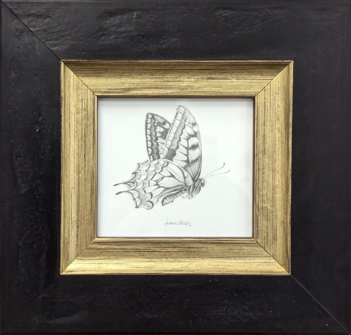 Swallowtail SWT005 by Louisa Crispin 