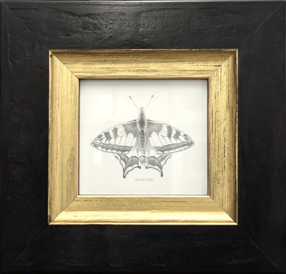 Swallowtail SWT007 by Louisa Crispin, Image 3.