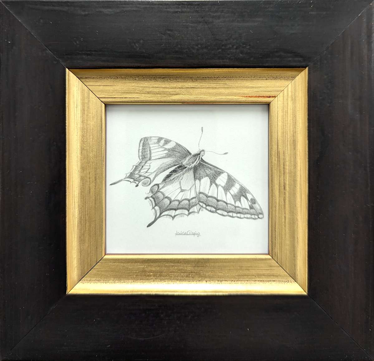 Swallowtail SWT011 by Louisa Crispin, Image 1.