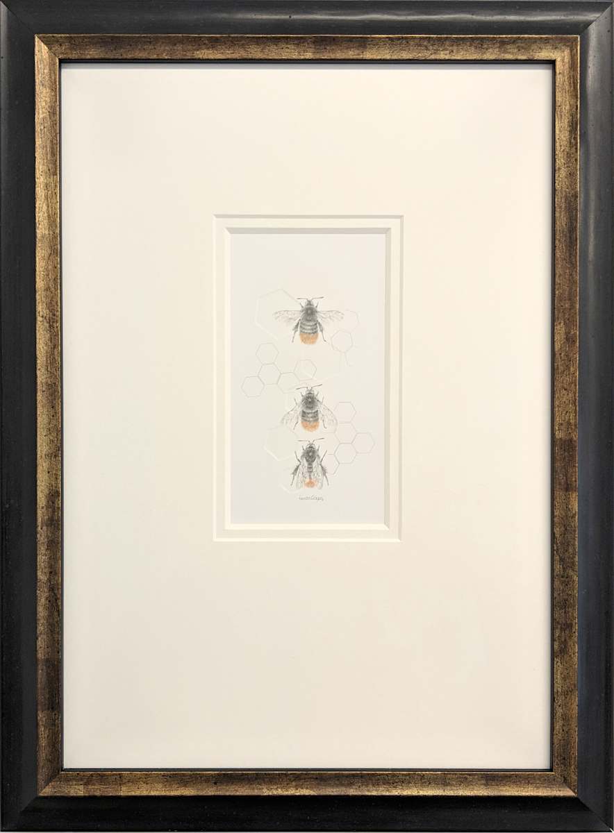 Red Tailed Bumble Bee 3.17e by Louisa Crispin, Image 1.