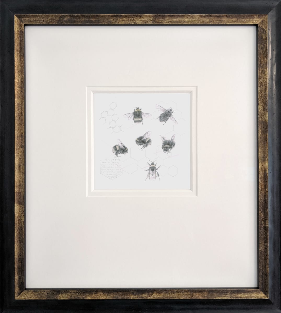 Study of a  BumbleBee 006, Image 1.