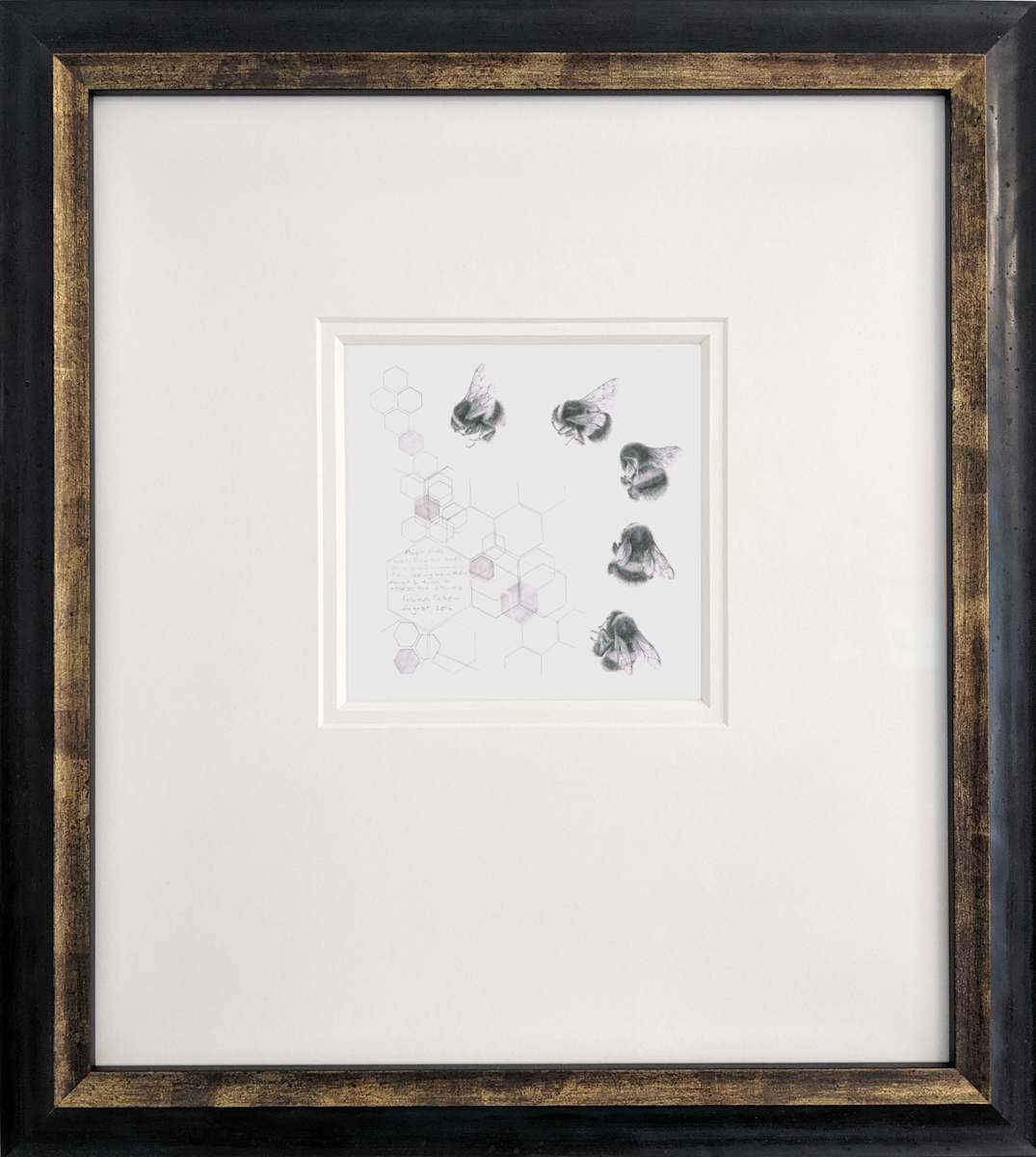 Study of a  BumbleBee 008, Image 1.
