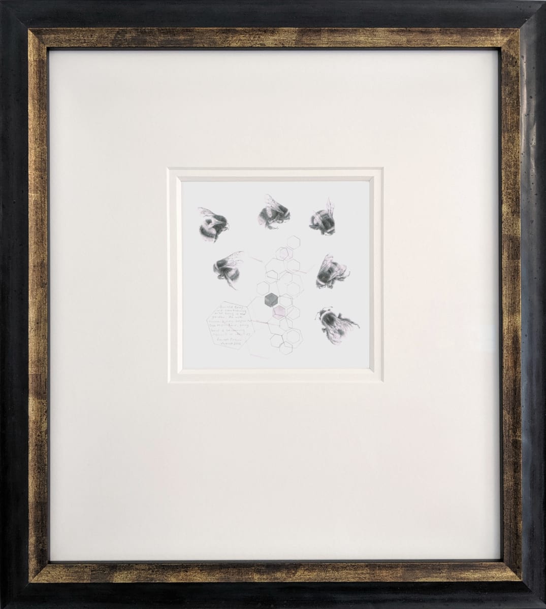 Study of a  BumbleBee 009, Image 1.