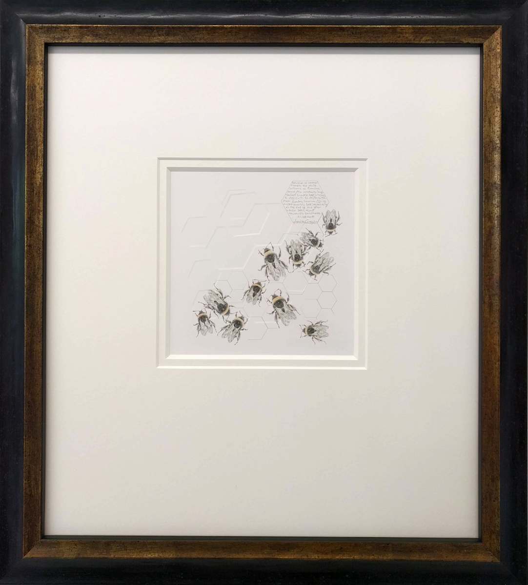 Study of a  BumbleBee 022 by Louisa Crispin, Image 1.