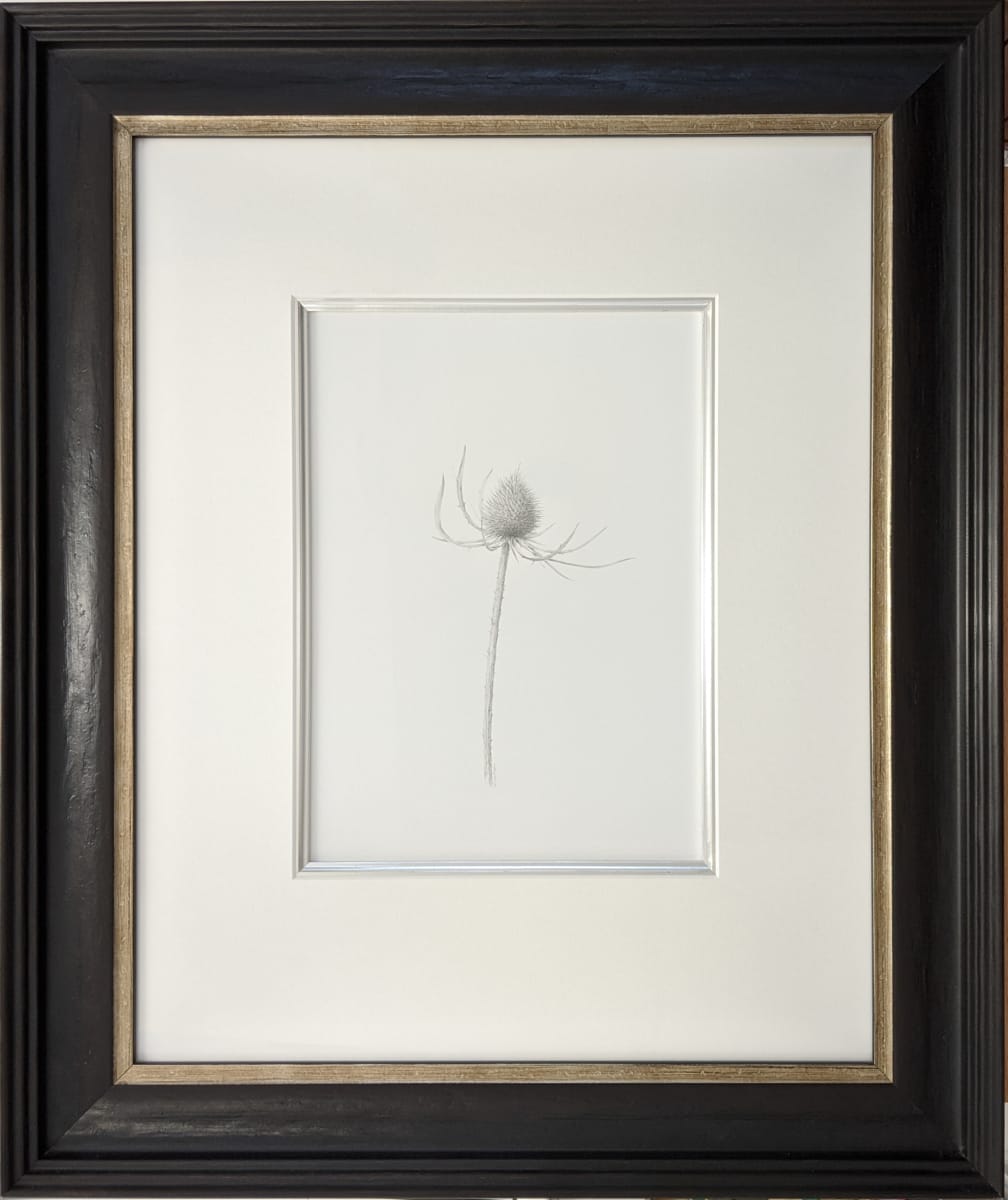 Teasel ii by Louisa Crispin, Image 1.