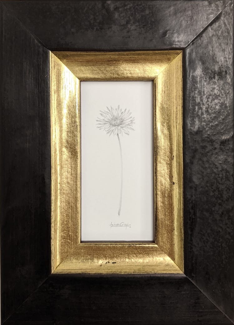 Daisy 005 by Louisa Crispin, Image 1.