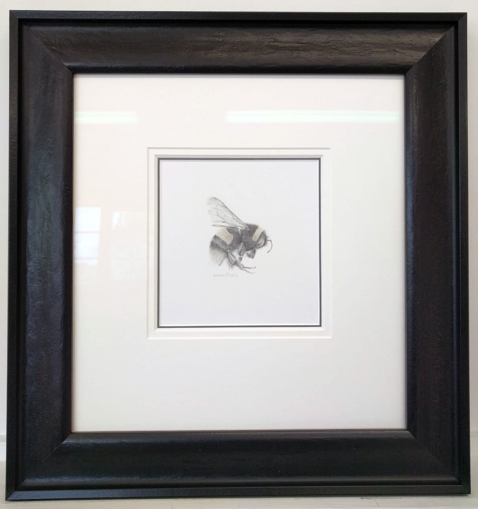 BumbleBee iii by Louisa Crispin, Image 1.
