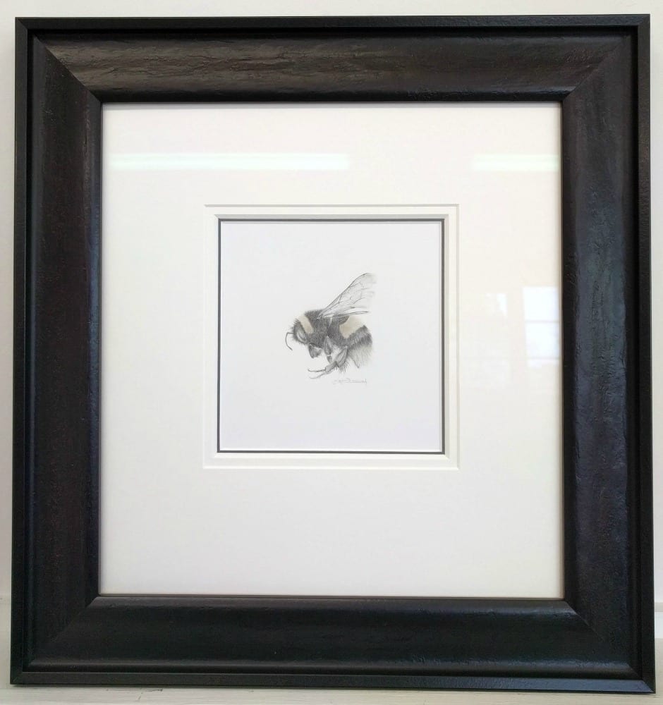 BumbleBee v by Louisa Crispin, Image 1.