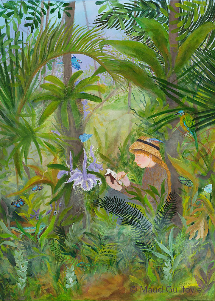 Rainforest Discovery by Maud Guilfoyle, Image 1.