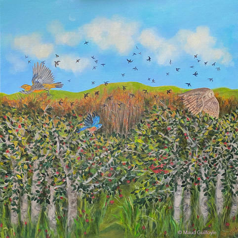 Apple Orchard with Birds by Maud Guilfoyle  Image: Apple orchard on a crisp fall day 