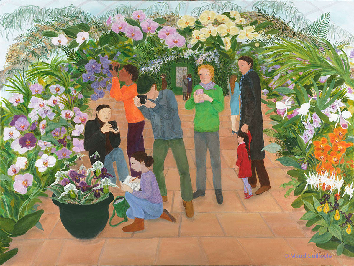 Orchid Show by Maud Guilfoyle, Image 1.