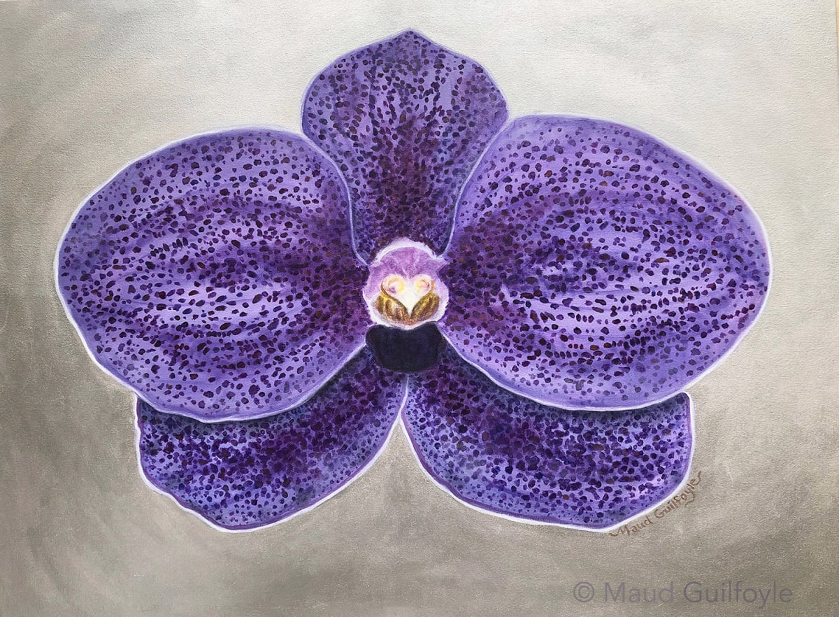 Vanda Orchid by Maud Guilfoyle, Image 1.