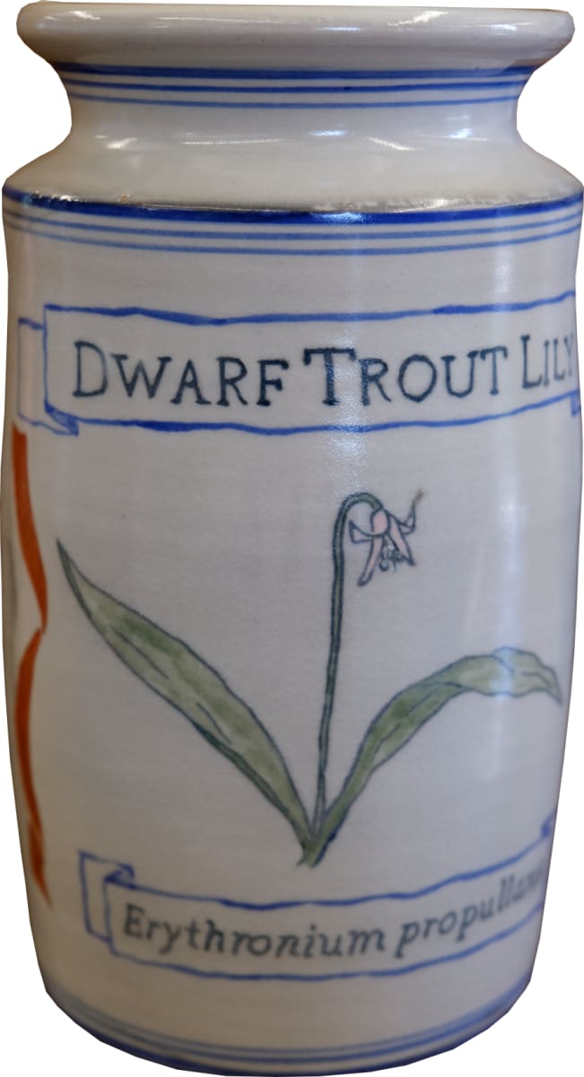 Dwarf Trout Lily by Juliane Shibata  Image: "Dwarf Trout Lily" apothecary jar.