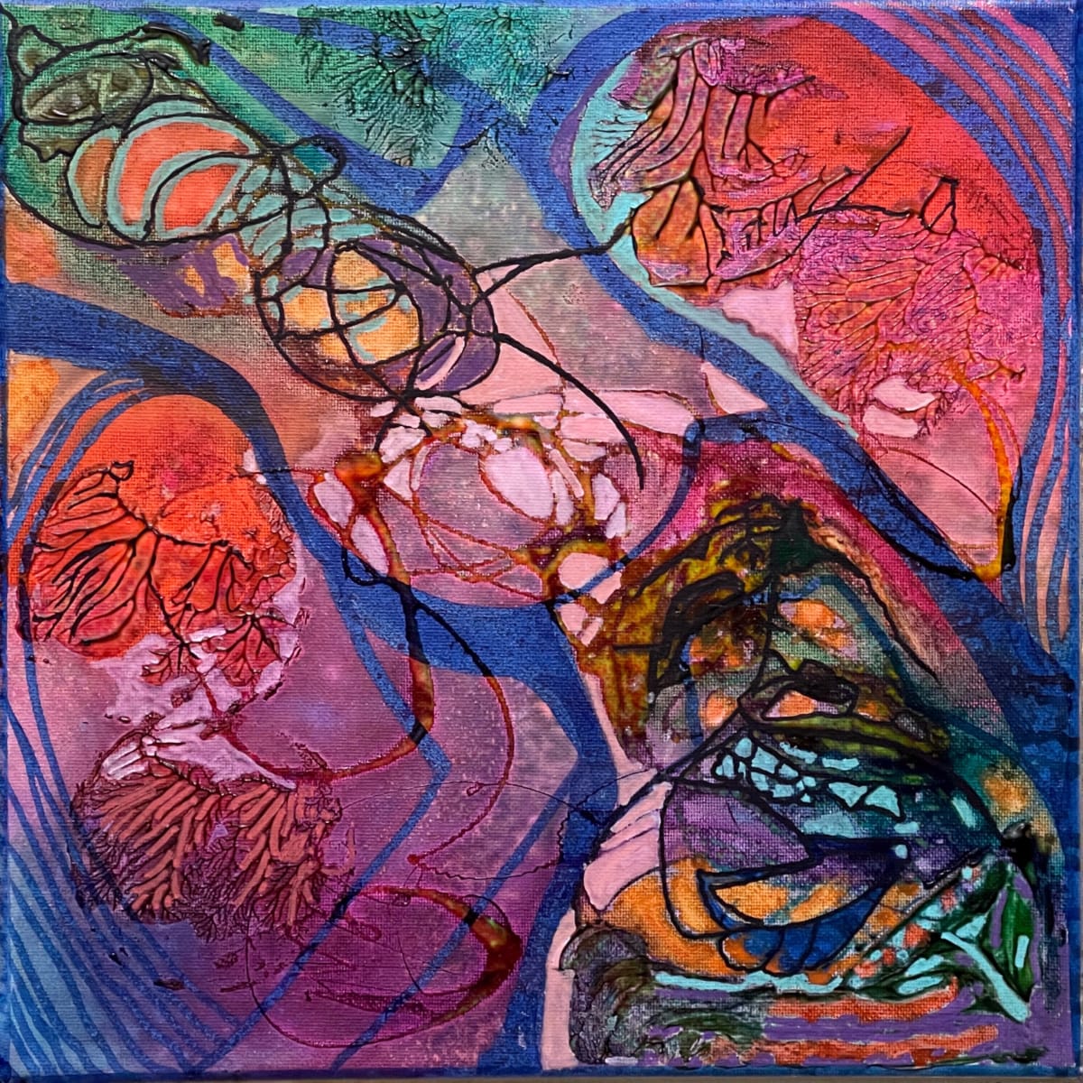 Manta by Ann McMillan Chaikin 