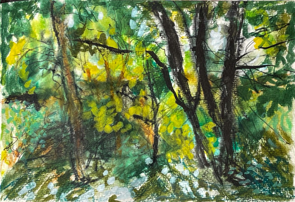 Spring Light 