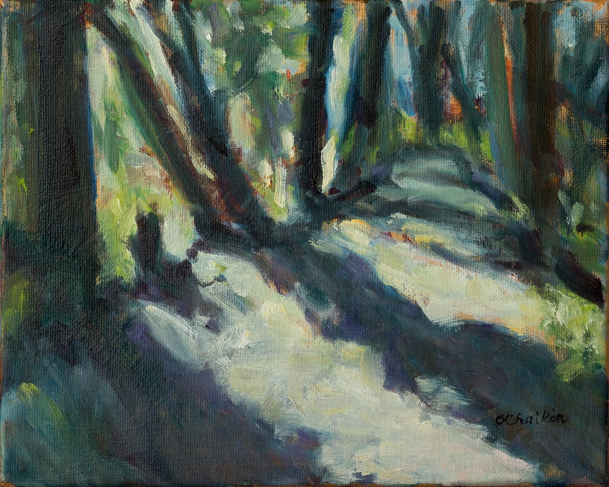 Sunlit Path  Image: Mother's Day at Big Rock Garden