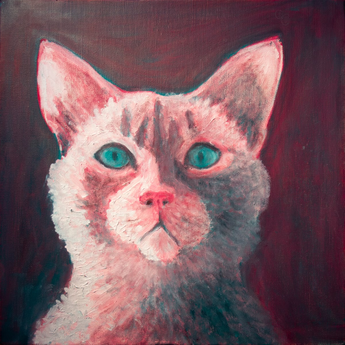 Pink Cat 