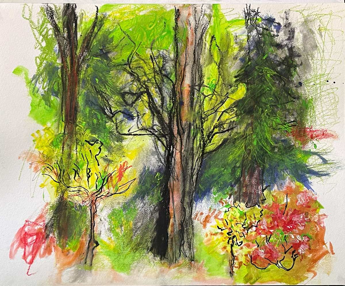 Behind Shelly's Place, Image 3.