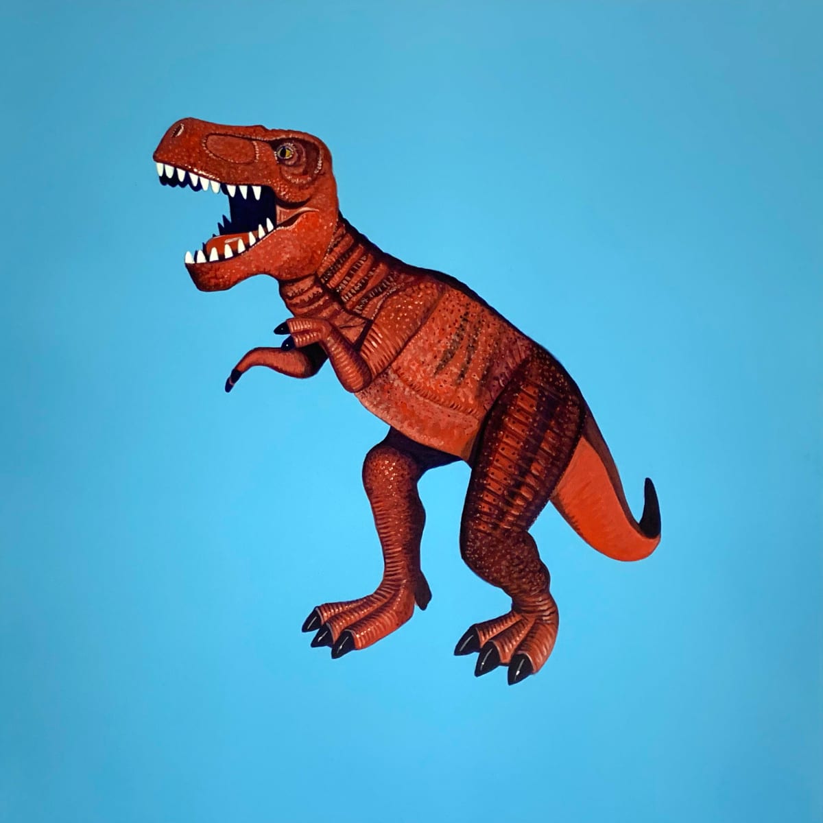 Red Orange Rex on Blue 