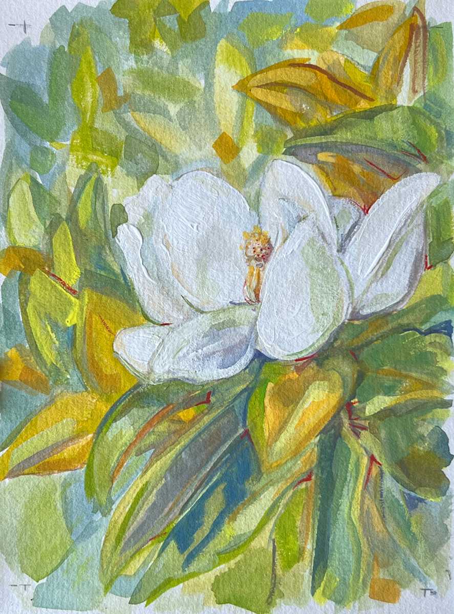 Magnolia by Nancy S Shippen 