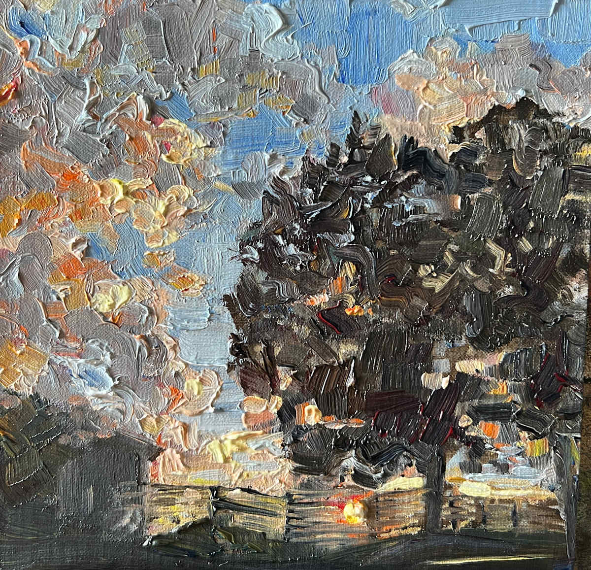 Sunset Through Trees by Nancy S Shippen 