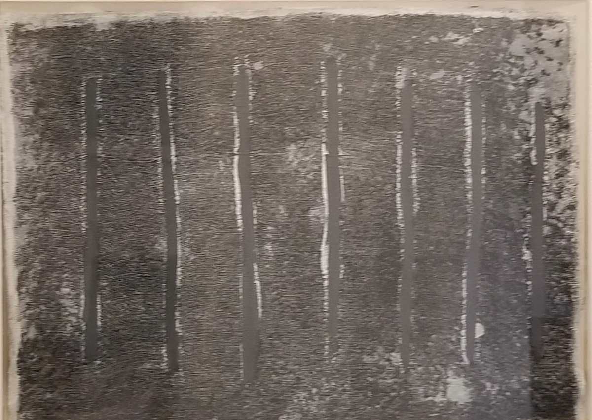 Dark Forest Experiment* by Harry Lum 