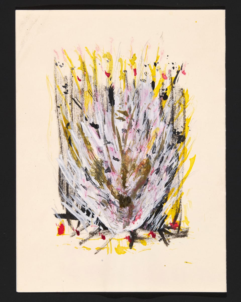 untitled by Eve Peri 