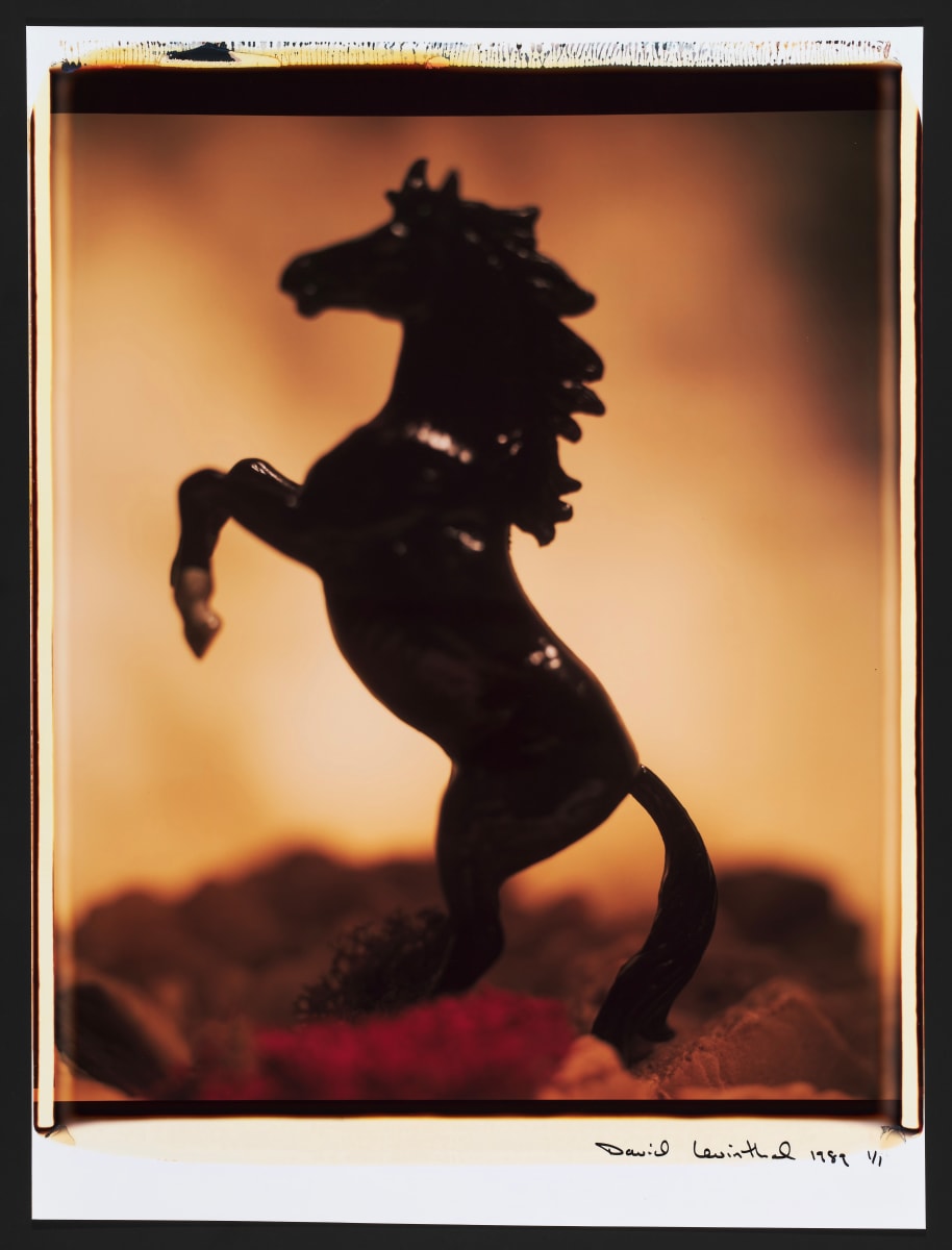 Untitled from the series Wild West by David Levinthal 