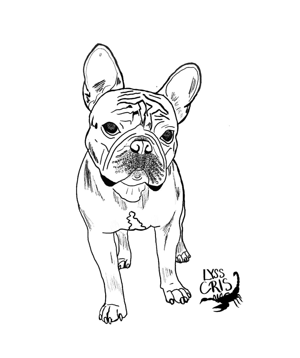 Bolt  Image: Commission pet portrait- Bolt