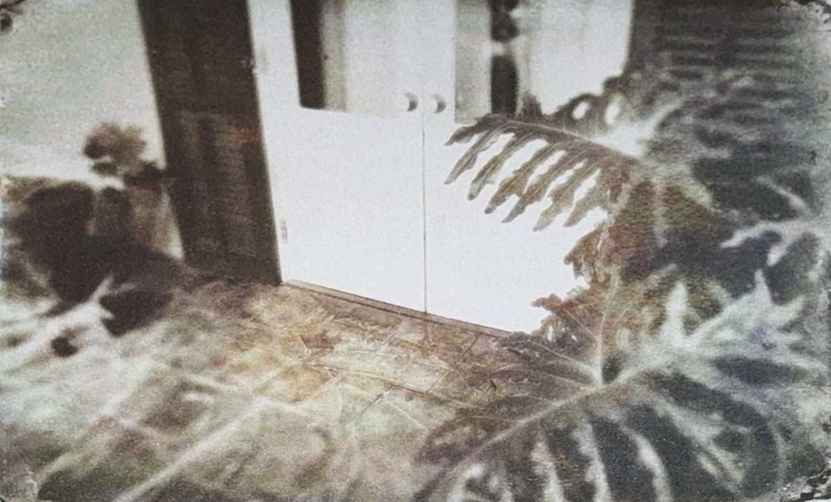 No Soliciting by Kenneth Davis, Image 1.