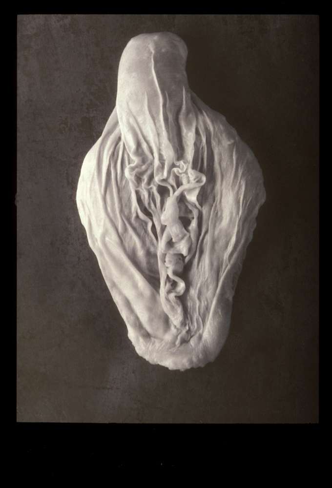 Becoming Series No. 2, 1994 by Mary Beth Heffernan, Image 1.