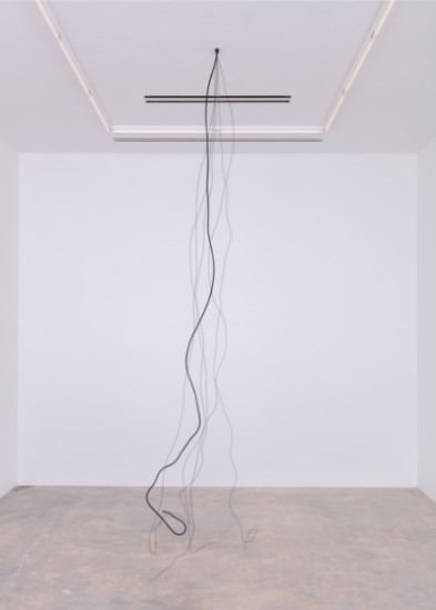 The Harp That Plays Itself by Sean Shim-Boyle, Image 1.
