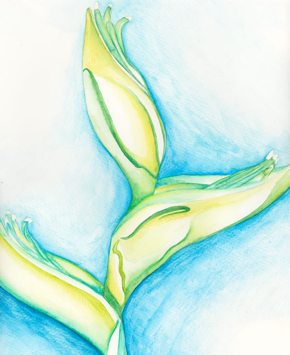 Heliconia en agua by Ivonne Tejada Cruel  Image: watercolor