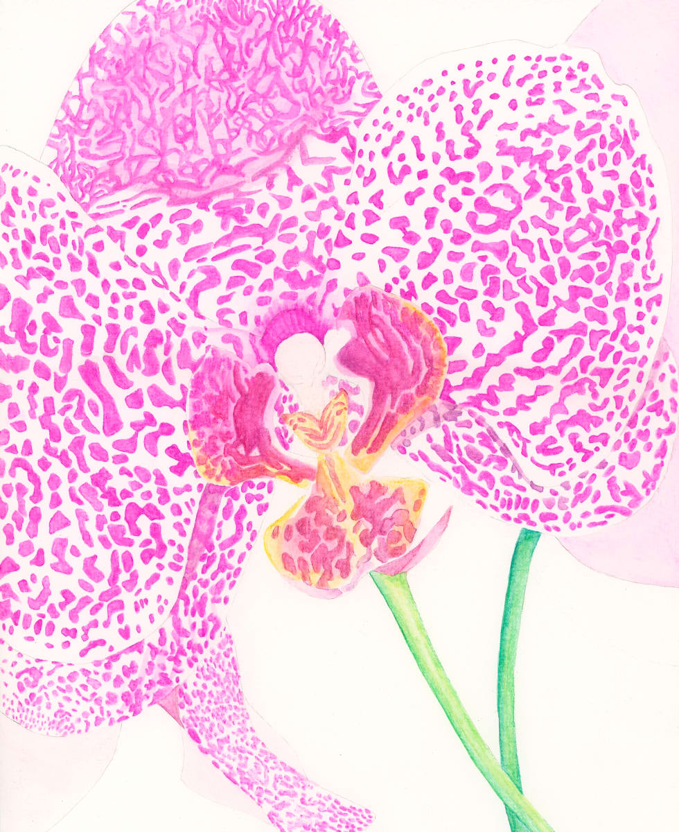 Purple Leopard Orchid for Nash by Ivonne Tejada Cruel  Image: watercolor
