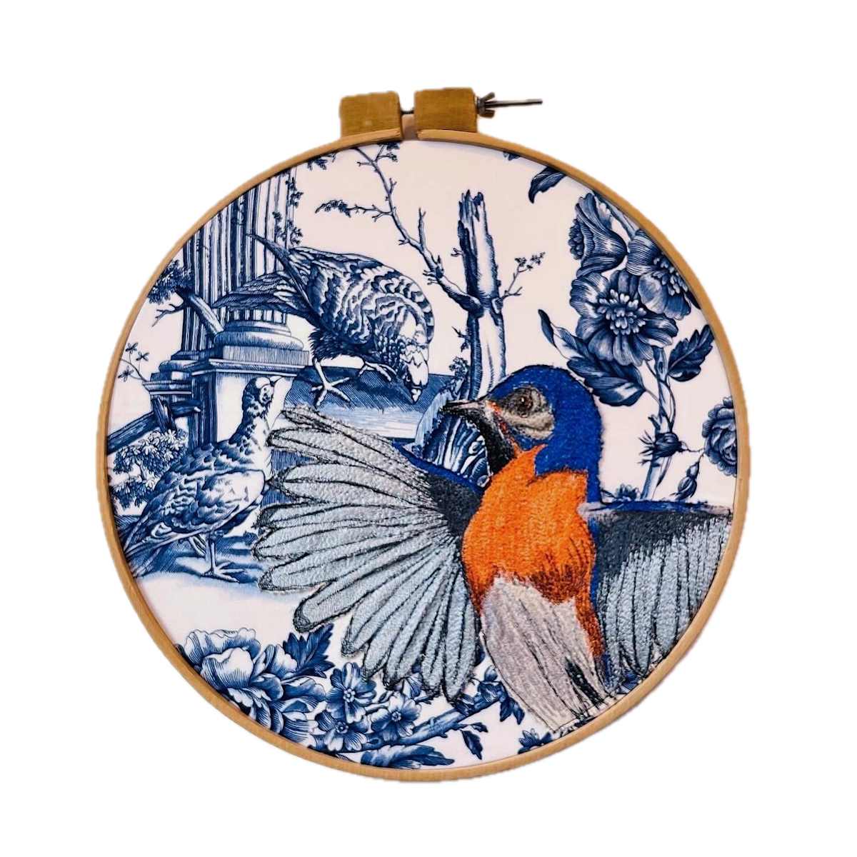 The Eastern Bluebird Shows Off Its Wings by Jennifer McBrien 