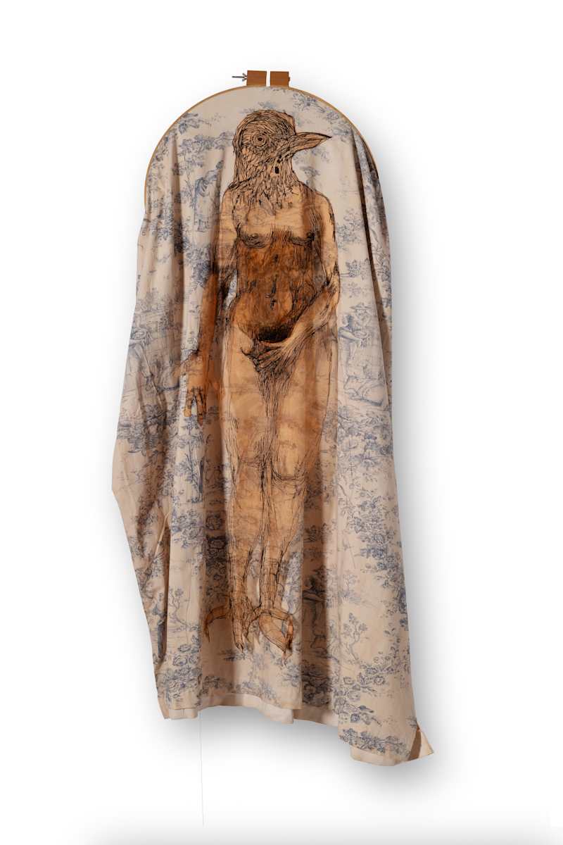 Bicknell's Thrush Warrior Woman by Jennifer McBrien 