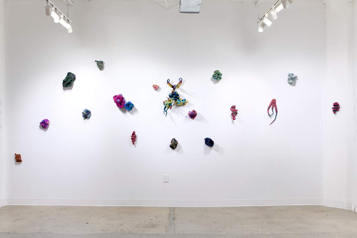 Installation: Coral by Ann Vollum 