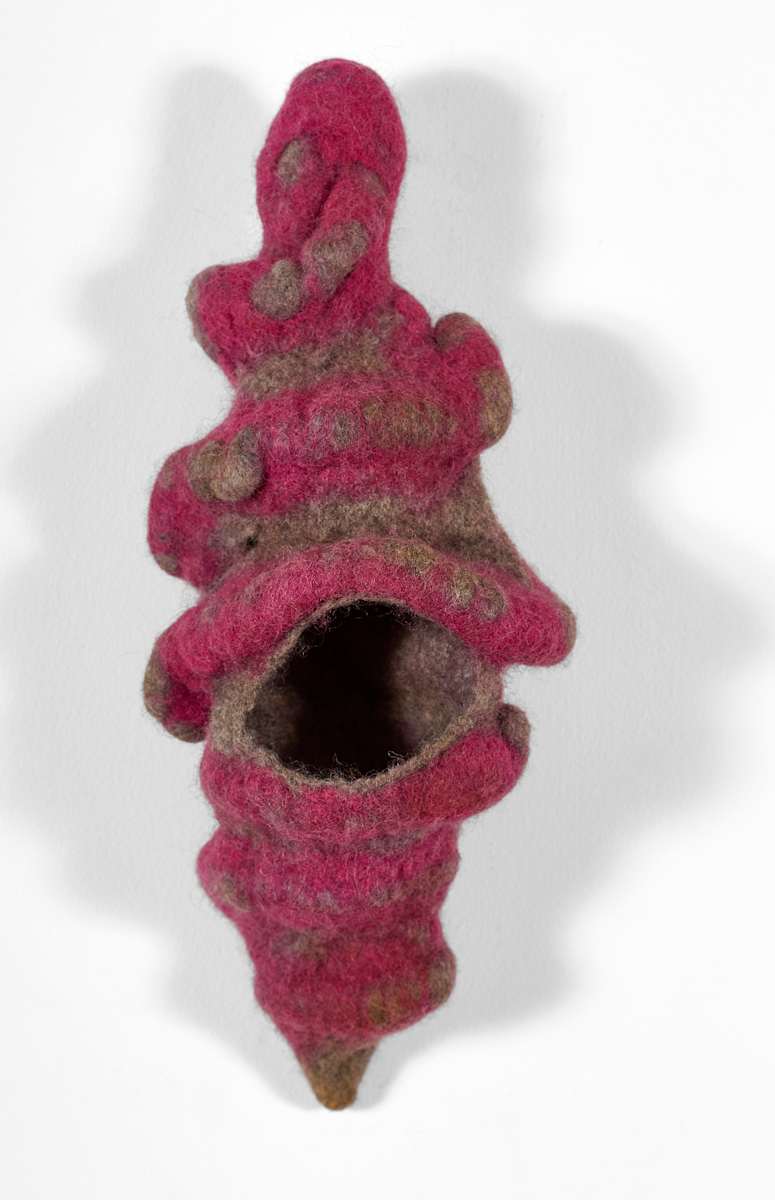 Hermit Home by Ann Vollum 