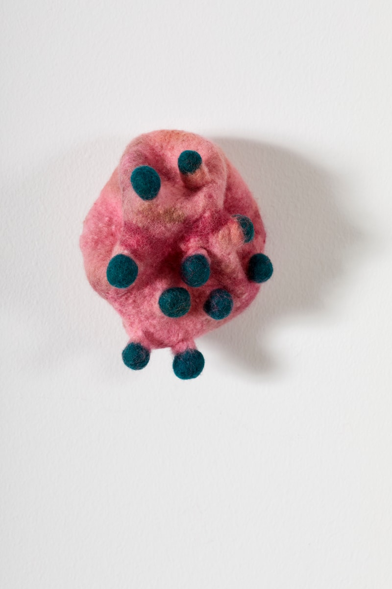 Barnacle by Ann Vollum  Image: Barnacle