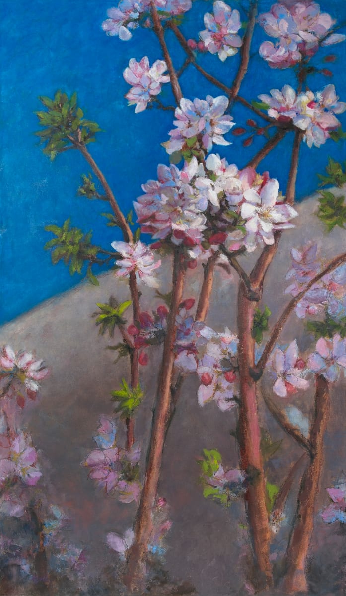 Cherry Blossoms by Deanne Kroll 