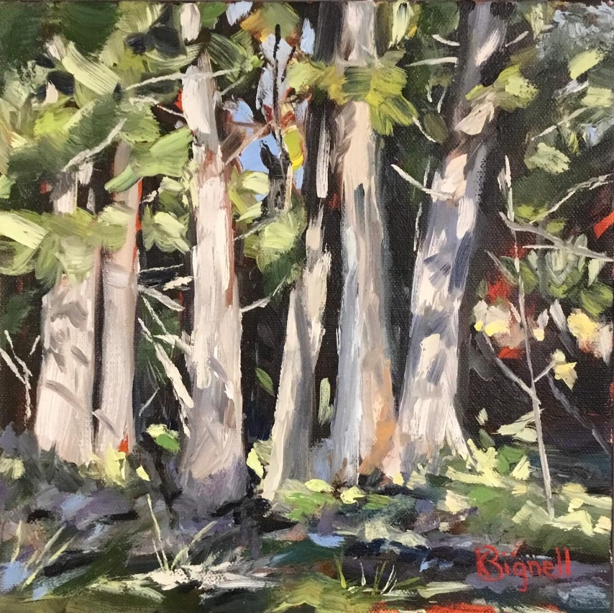 Trees by Kathleen Bignell 