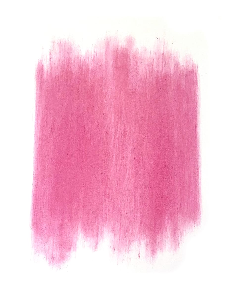 Pink Carnations 02 by Kathleen Greco 